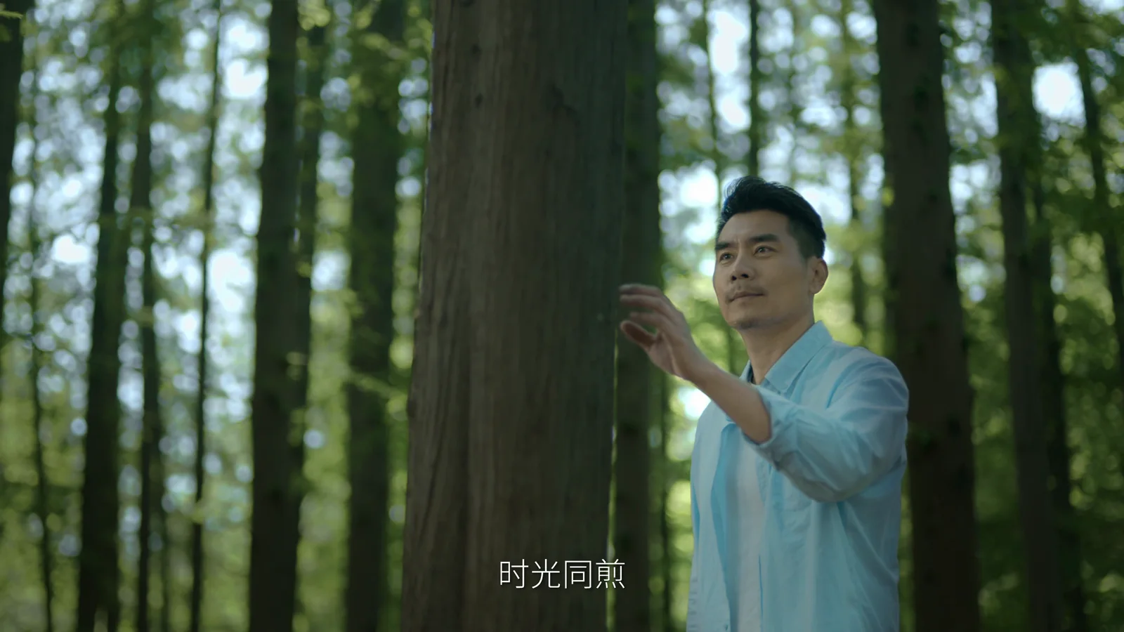 寻茶项目画面